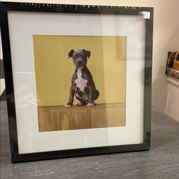 Black Framed Dog Portrait - Picture 1 of 6